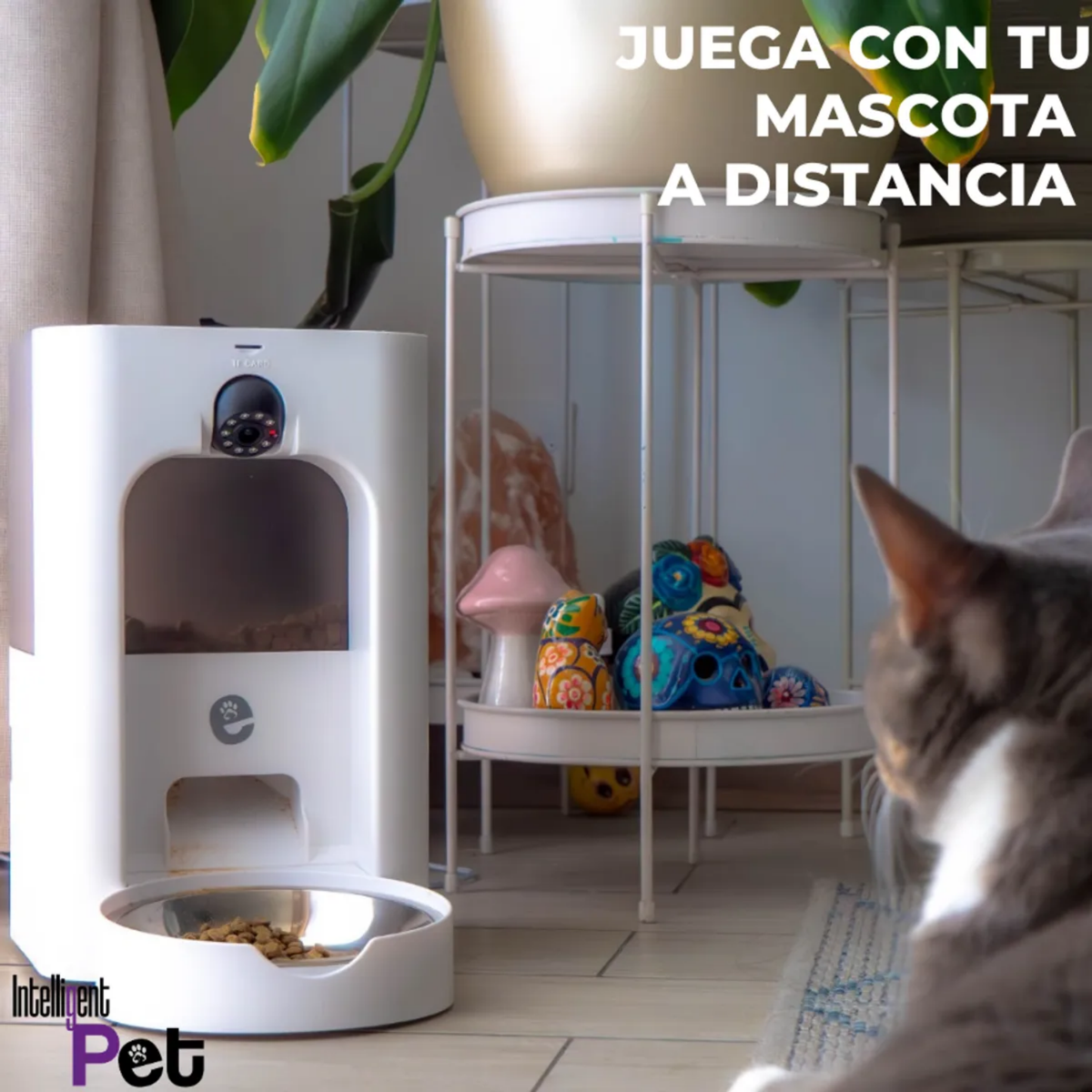 ALIMENTADOR AUTOMATICO - 5 LITROS