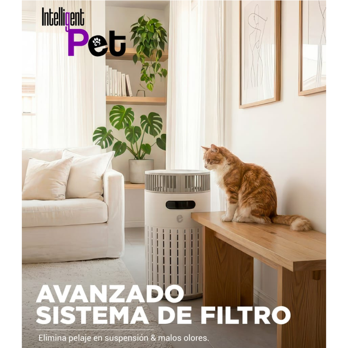 PURIFICADOR DE AIRE - 360°