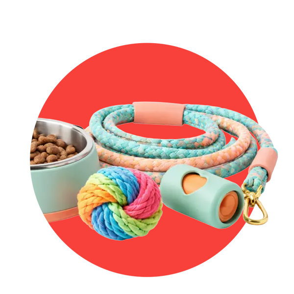Accesorios