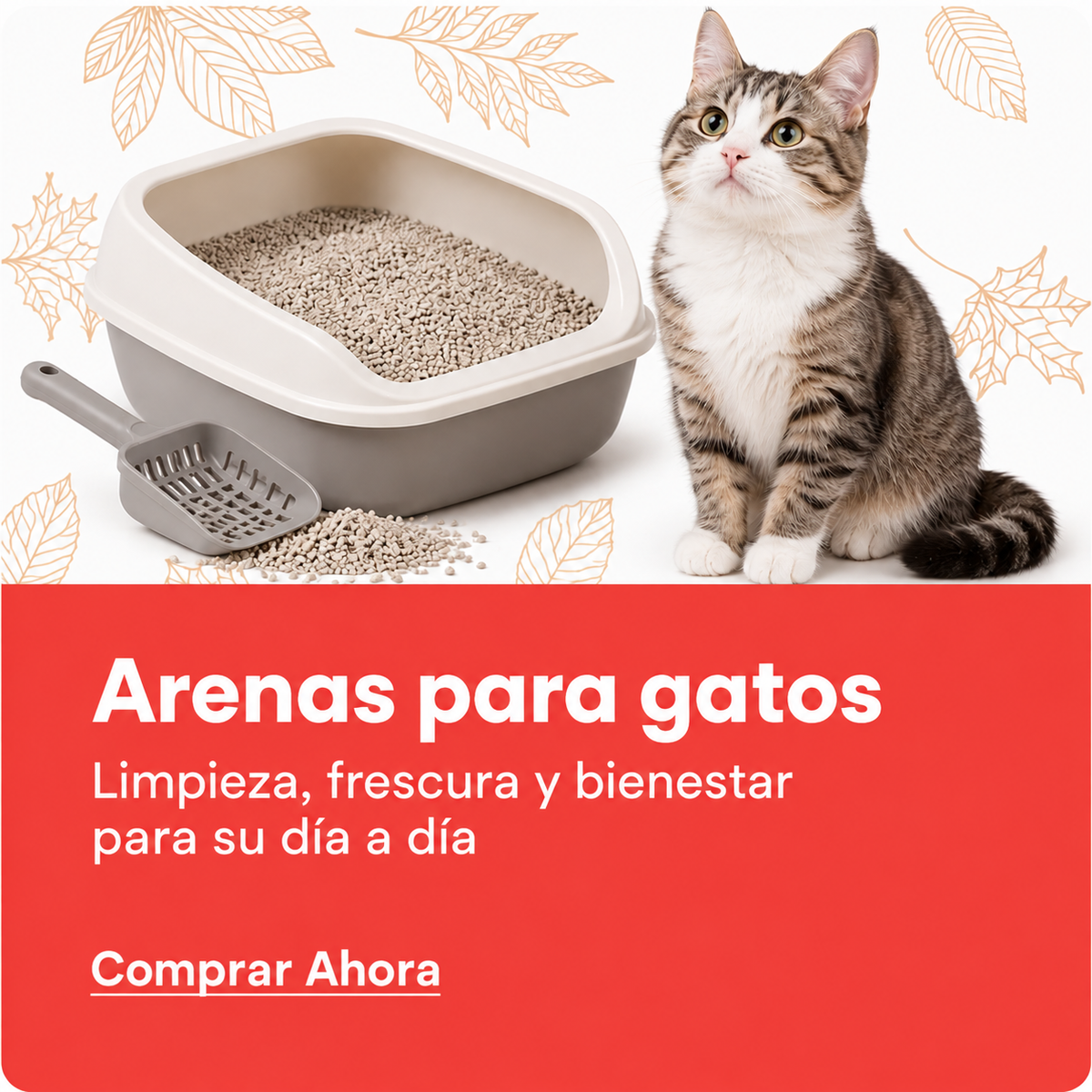 Ver promoción