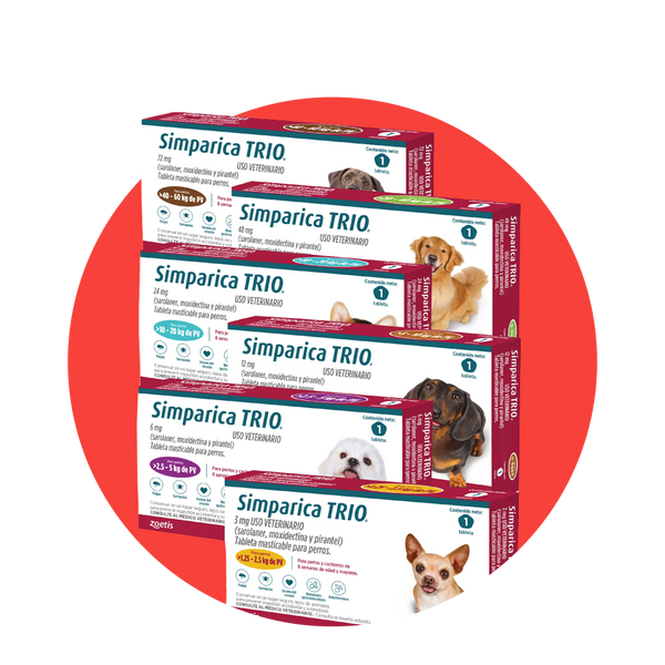 Farmacia