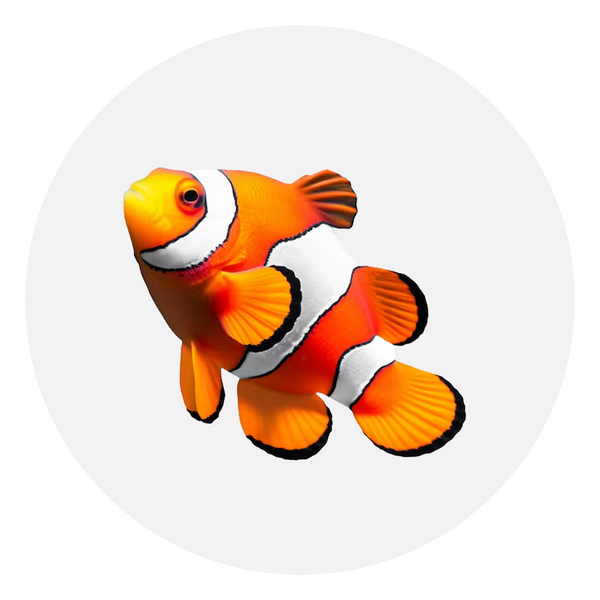 Peces