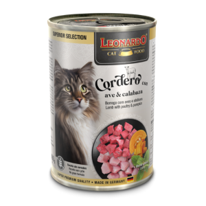 LATA LEONARDO SUPER...