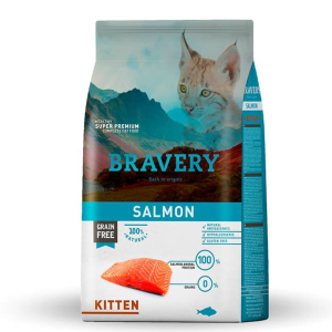 BRAVERY SALMON KITTEN