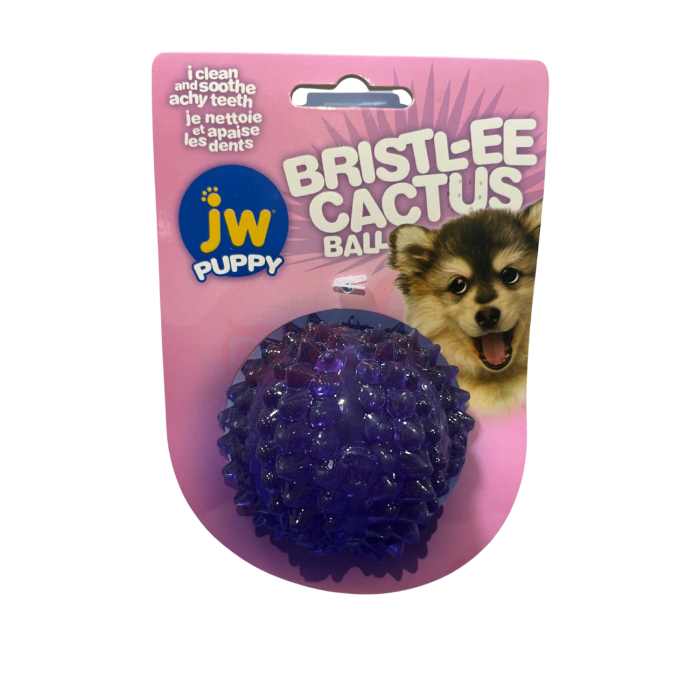 JW PUPPY BALL CACTUS