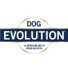 DOG EVOLUTION